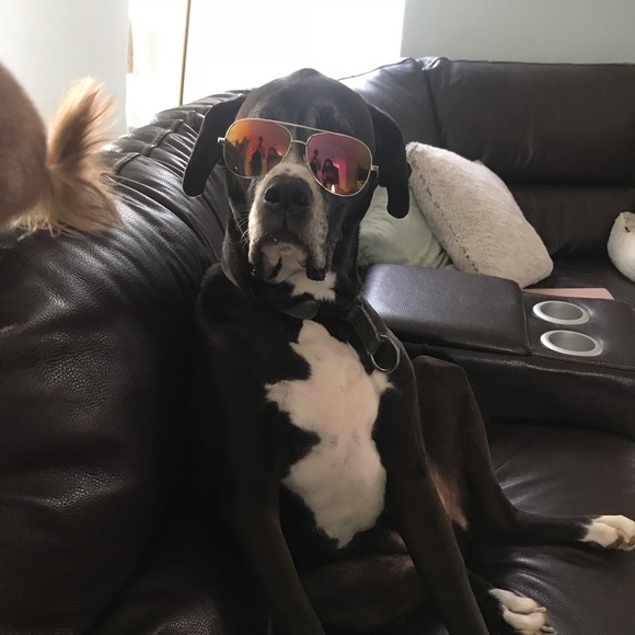 Meet your Posher, Erin - Picture 1 of 1